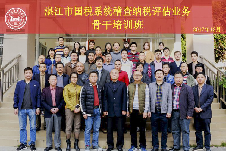 1513300599485176.jpg 湛江市国税稽查系统.JPG